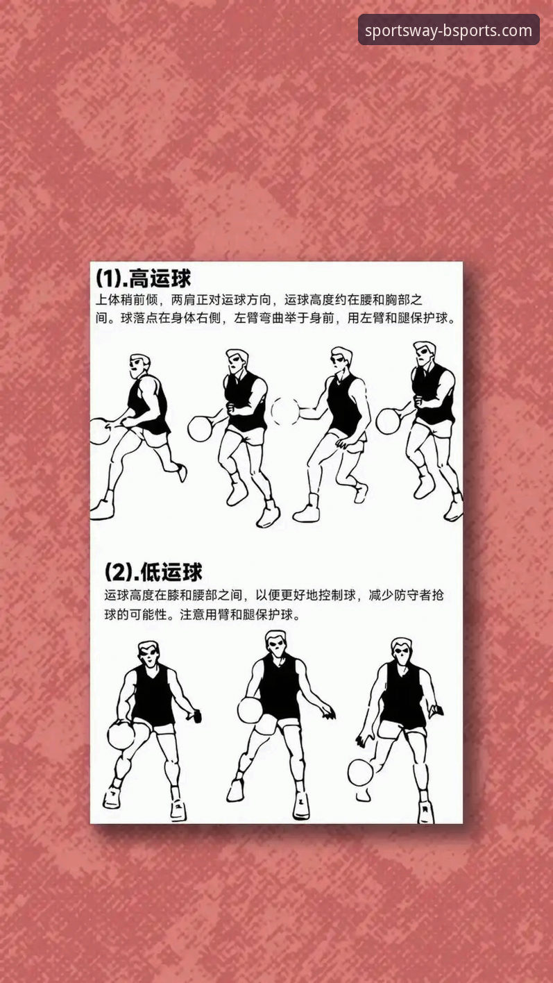 B体育官方平台使用指南：新手快速上手完整教程
